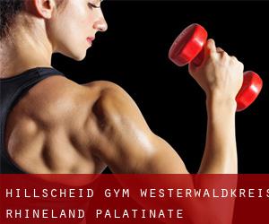 Hillscheid gym (Westerwaldkreis, Rhineland-Palatinate)