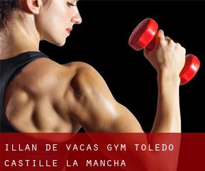 Illán de Vacas gym (Toledo, Castille-La Mancha)