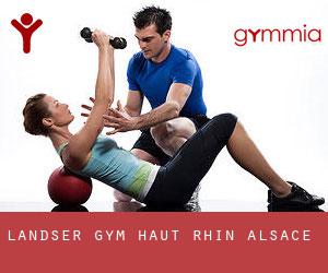 Landser gym (Haut-Rhin, Alsace)