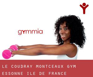 Le Coudray-Montceaux gym (Essonne, Île-de-France)