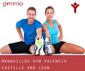 Manquillos gym (Palencia, Castille and León)