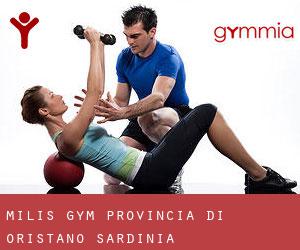 Milis gym (Provincia di Oristano, Sardinia)