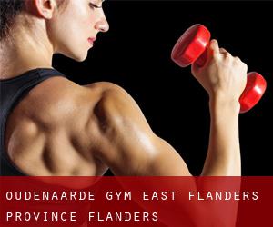 Oudenaarde gym (East Flanders Province, Flanders)
