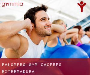 Palomero gym (Caceres, Extremadura)