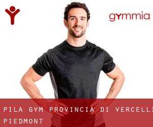 Pila gym (Provincia di Vercelli, Piedmont)