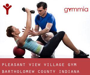 Pleasant View Village gym (Bartholomew County, Indiana)