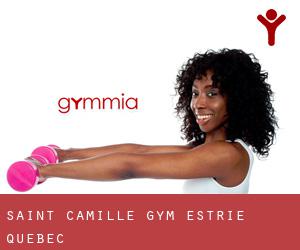 Saint-Camille gym (Estrie, Quebec)