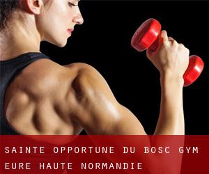 Sainte-Opportune-du-Bosc gym (Eure, Haute-Normandie)