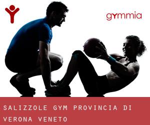 Salizzole gym (Provincia di Verona, Veneto)