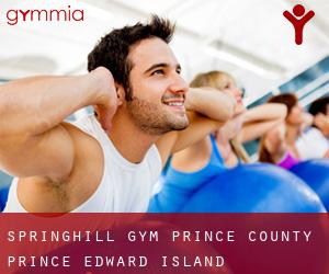 Springhill gym (Prince County, Prince Edward Island)