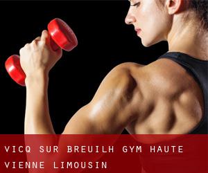 Vicq-sur-Breuilh gym (Haute-Vienne, Limousin)