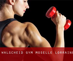 Walscheid gym (Moselle, Lorraine)