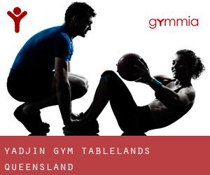 Yadjin gym (Tablelands, Queensland)